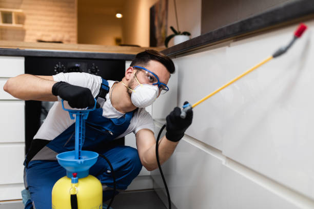 Best Emergency Pest Control  in Triana, AL