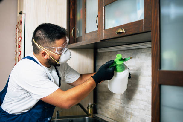 Best Pest Prevention Services  in Triana, AL