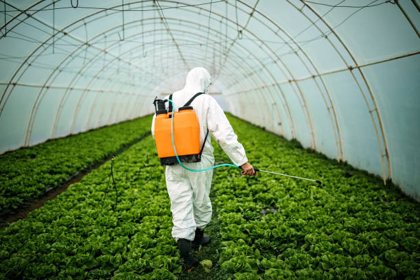 Best Pest Removal Services  in Triana, AL
