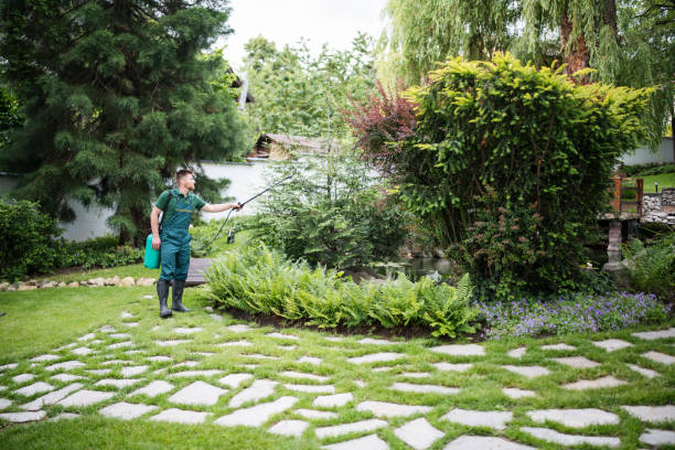 Professional Pest Control in Triana, AL