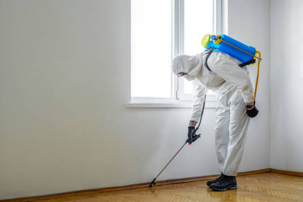 Best Pest Inspection Near Me  in Triana, AL