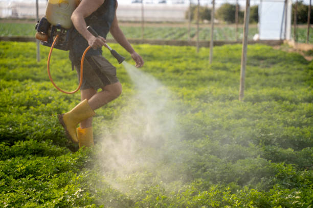 Best Insect Control  in Triana, AL