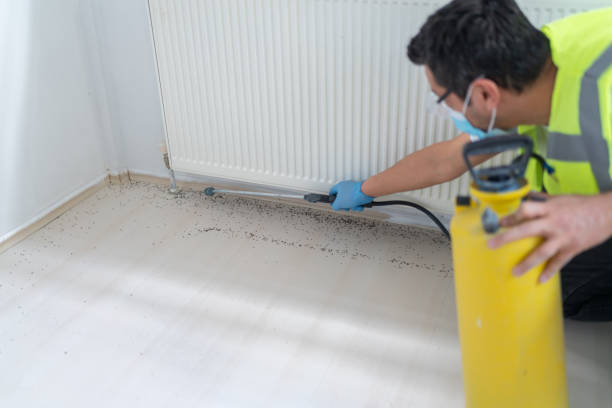 Best Affordable Pest Control Services  in Triana, AL