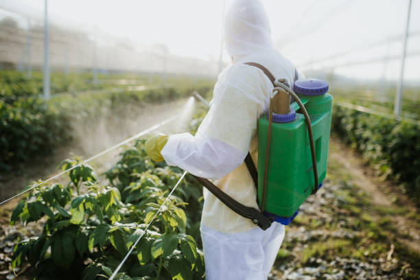 Best Bed Bug Extermination  in Triana, AL